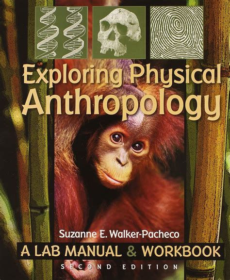 Exploring physical anthropology a lab manual workbook 2nd edition 2nd second edition by suzanne e walker pacheco 2010. - 1995 ford e250 van owners manual.