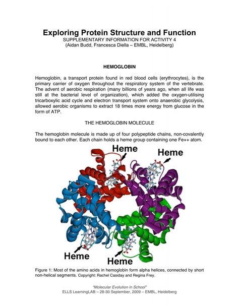 Exploring protein form to find function CS Computer Science