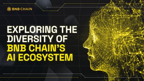 Exploring the Diverse BNB Smart Chain Ecosystem
