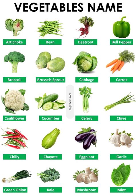 Exploring the Diverse World of Vegetables in English: A Comprehensive Guide