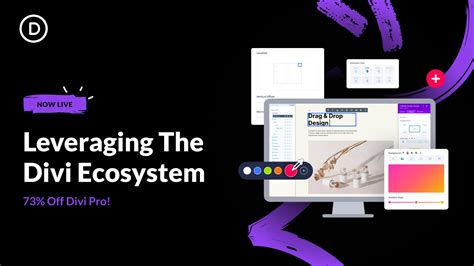 Exploring the Divi Ecosystem