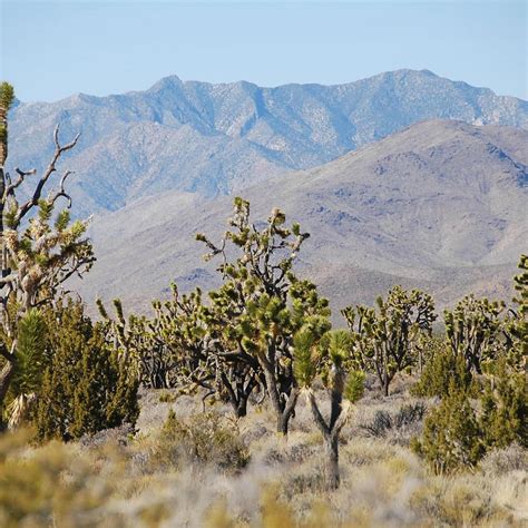 Exploring the Mojave National Preserve in California