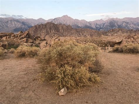 Exploring the Night Skies of Alabama Hills and Bristlecone Forest