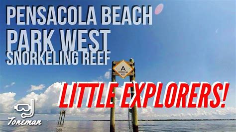 Exploring the Park West Snorkeling Reef at Pensacola Beach