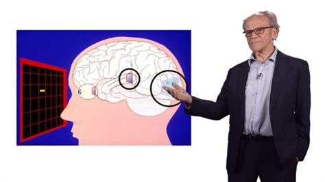 Exploring the Visual Brain: Torsten Wiesel - iBiology