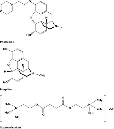 Exploring the link between pholcodine exposure and …