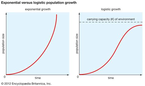 Exponential population growth definition.  Here&rsquo;s how to calculate growth rates. 0...