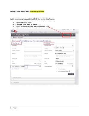 Express Carrier FedEx BSO Broker Select Option - Teledyne …