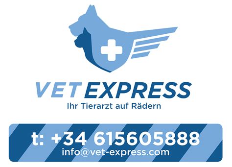 Express vet. Things To Know About Express vet. 