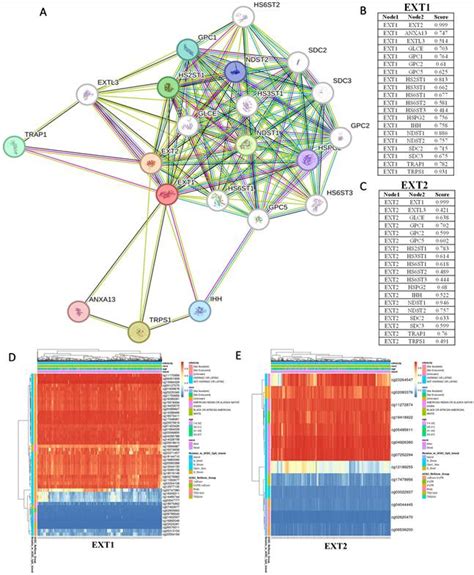 Ext2 mbr. J.  &Eacute; o presidente de honra da Unidos de Vila Isabel.  Explore a jornada ...