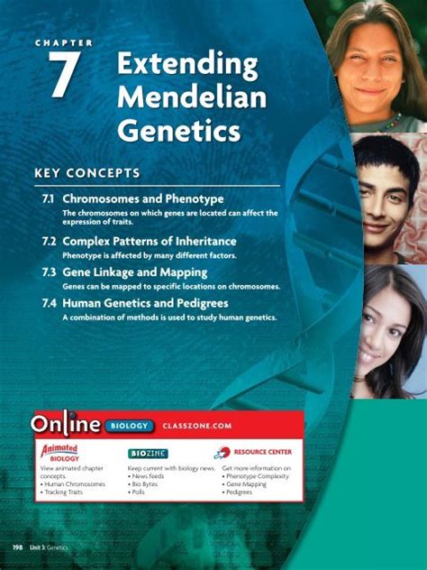Extending mendelian genetics study guide book 65 answers. - Engelsk - dansk, dansk - engelsk ordbog (collins gem dictionaries).