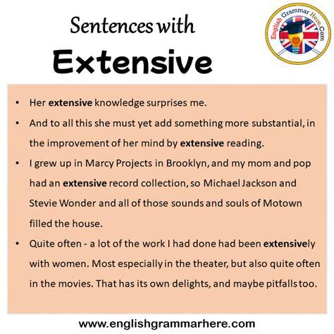 Extensive in a sentence.  9.  The university has extensive playing fields.  covering...