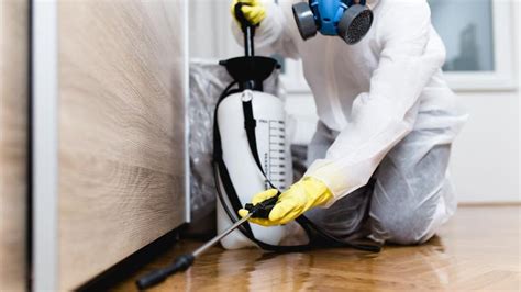 Exterminator cost. Things To Know About Exterminator cost. 