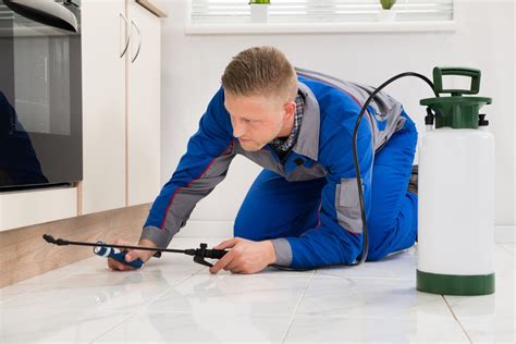 Exterminator for roaches. Step 3 - Apply Novacide Aerosol. Novacide Aerosol is a residual spray that can be applied to floor surfaces and baseboards. This will kill adult cockroaches with contact and also contains an insect growth regulator (IGR). An IGR interferes with the life cycle and reproductive abilities of roaches. 