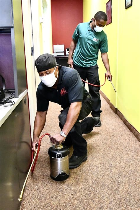 Exterminator st louis mo. Pest Extinct Inc. is St. Louis' one-stop solution for termite exterminators. Get information on chemical extermination, termite baits, tenting, and fumigation ... 