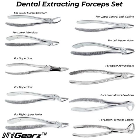 Extraction Forceps