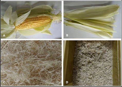 Extraction Of Cornhusk Fibres For Textile Usages pdf
