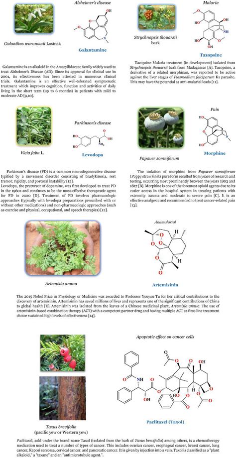 Extraction of Bioactive Compounds from Medicinal Plants and Herbs. 