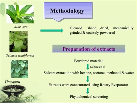 Extraction techniques of medicinal plants