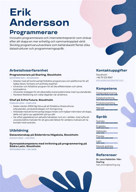 Extrajobb programmerare