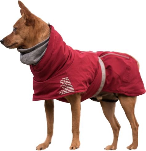 Extreme Warmer winter jacket for dogs – Hurtta.com