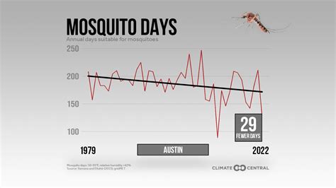 Extreme heat in Austin is shortening our 'mosquito season'