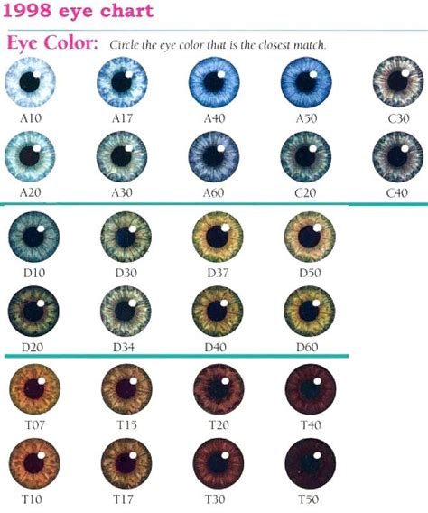 Eye Color Chart Coloring