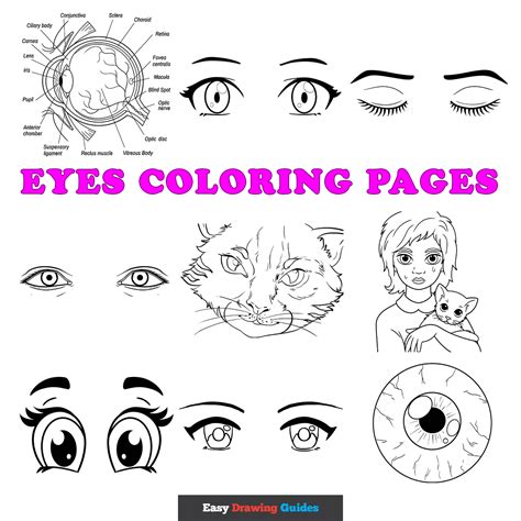 Eye Coloring Shee
