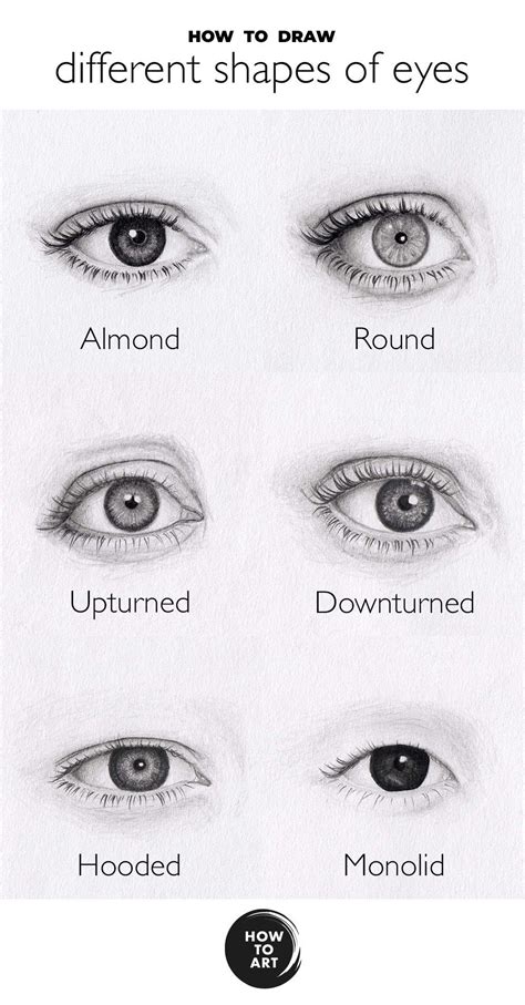 Eye Shapes Drawing Reference