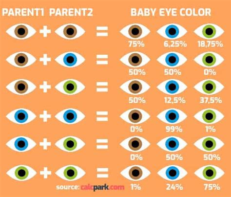 Eye color calculator. eye color calculator. Eye color genetic calculators are based on a very simple model. Some use only information about the mother and father to calculate the probability of a child's eye color. However, most nowadays also play with the grandparents' eye color to obtain a slightly more precise result. Do you want to … 