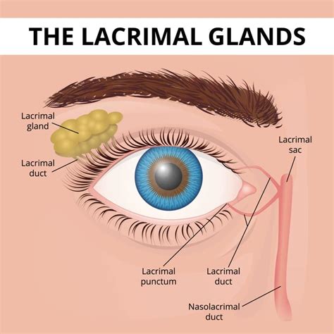 Eye pain near tear duct - Multiple Sclerosis - MedHelp