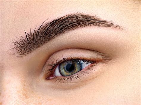Eyebrow growth. Eyebrow microblading has become an increasingly popular cosmetic procedure for achieving perfectly shaped and defined eyebrows. If you’re considering getting your eyebrows microbla... 