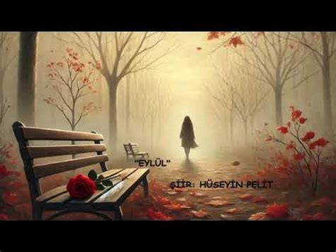 codini.rgarabwor.edu.pl. 