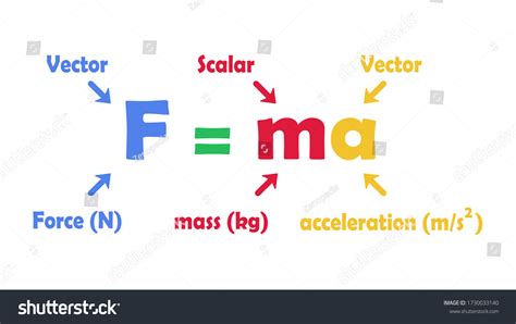 F ma. Newton’s second law, which states that the force F acting on a body is equal to the mass m of the body multiplied by the acceleration a of its centre of mass, F = ma, … 