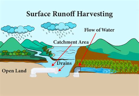 F-1518, Capturing and Recycling Irrigation Runoff as a Pollution ... - raincitystudios.com