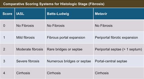 F0 f2 fibrosis score.  A scoring system based on the histopathological assessment ...