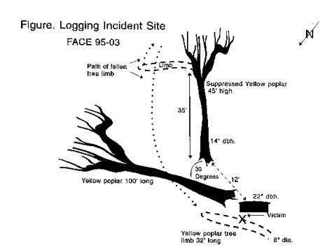 FACE Program: In-house Report 82-03 NIOSH CDC