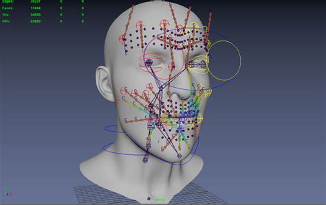 Facial Rigging - KREONIT - muktibox.com