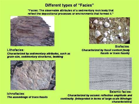 Facies Analysis - an overview | ScienceDirect Topics - raincitystudios.com