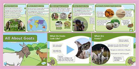 Fact sheet 8. Feed for goats - Mohair - raincitystudios.com