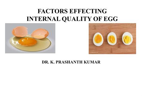 Factors Affecting Egg Internal Quality and Egg Shell ... - ResearchGate - muktibox.com