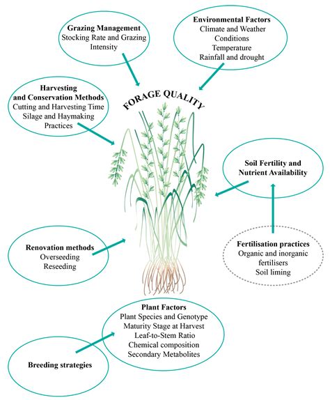 Factors affecting forage quality | Forage Information System - raincitystudios.com