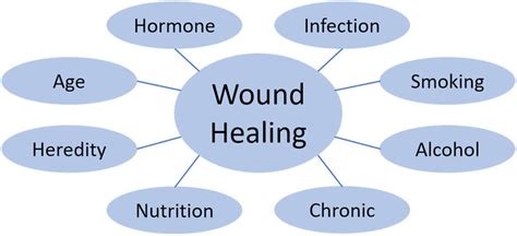 Factors Affecting Wound Healing - PMC - muktibox.com