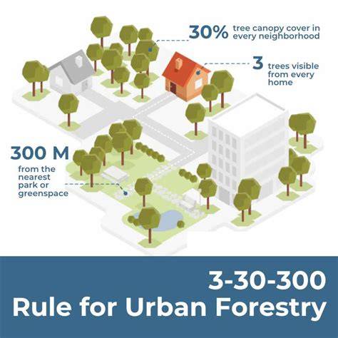 Factsheet: Urban forest planning - Green Municipal Fund - raincitystudios.com