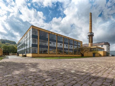 Fagus - Wikipedia bahasa Indonesia, ensiklopedia bebas - muktibox.com