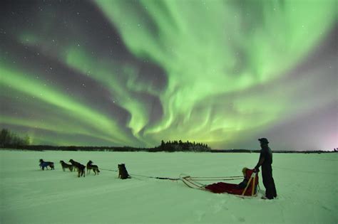 Fairbanks Northern Lights Tours - wintechmobiles.com