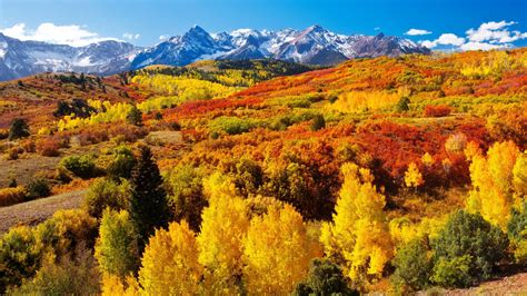 Fall Colors - U.S. National Park Service - muktibox.com