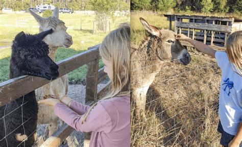 Family farm stays - family farmstay accommodation in NSW - raincitystudios.com