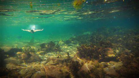 Family Guide to Underwater Archaeology Adventures - raincitystudios.com