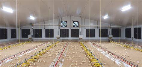 Fancom | Smart farming | Revolutionary livestock system - raincitystudios.com